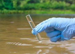 Возбудителей инфекционных заболеваний в водоемах Ростовской области не обнаружено