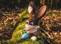 Появились данные на 17 марта: подтвержденных случаев COVID-19 в Морозовском районе 925, выздоровлений - 720, умерших - 29