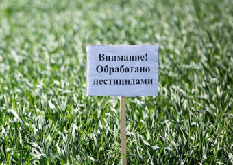 Опасным для здоровья человека и очень токсичным для пчел химикатом будут обрабатывать поля в районе хуторов Морозов и Веселовка