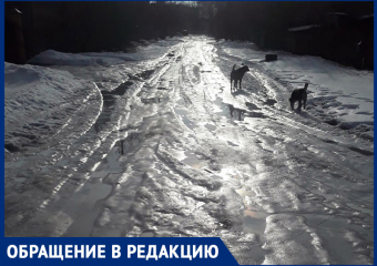 Перед выходом молишься: "Дойти живым!!!" - морозовчанка