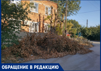 Сухие спиленные ветки две недели лежат около многоквартирного дома в Морозовске в пожароопасный период