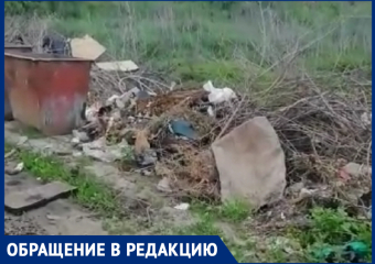 Окна в доме невозможно открыть! – морозовчанка о свалке мусора на углу улиц Крылова и Дзержинского