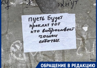 «Собаки становятся агрессивными и кусают детей»: жители Морозовска бьют тревогу из-за стаи на улице Ворошилова