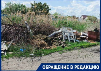 «У свиней в сарае чище!»: местные жители возмущены свалкой на улице Мичурина