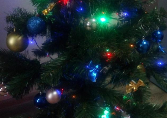 Правильно наряжать елку посоветовали морозовчанам в городской администрации