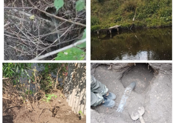 Выявлено 4 случая загрязнения реки Быстрой в Морозовске, которое устроили сами жители