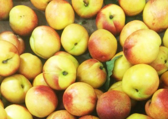 Вопрос-ответ: Почему фрукты на рынке и в овощных лавках дороже, чем в «Магните»?