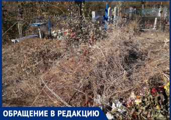 Ужас творится на Южном кладбище! - морозовчанка