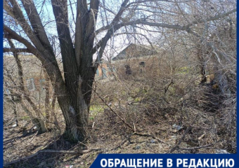 «Мы боимся пожаров»: соседство со свалкой на заброшенном участке пугает морозовчан 