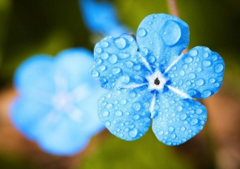 Кратковременный дождь пройдет в Морозовске в понедельник