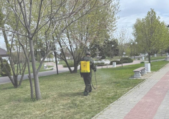 Городской парк Морозовска временно закроют для проведения обработки территории