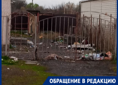 «Свалка под окнами и доберманы без контроля»: жители улицы Руднева просят срочного вмешательства властей