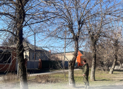 Морозовск готовится к массовой обрезке деревьев на одной из центральных улиц