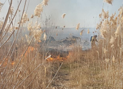 Три семьи эвакуировали в Тацинской из-за возгорания травы после атаки БПЛА 
