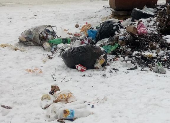 Сотни жалоб на мусор поступили от дончан в первые же дни 2019 года