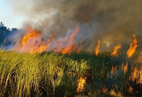 Высокая пожароопасность в ближайшие три дня снова угрожает Морозовскому району