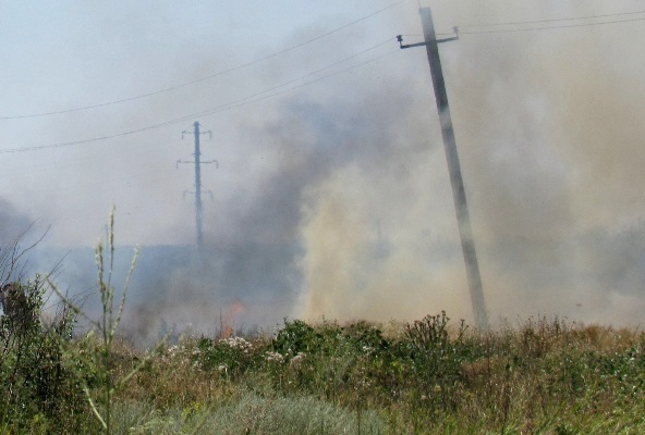 На окраине Морозовска пожарные и спасатели потушили горящий мусор