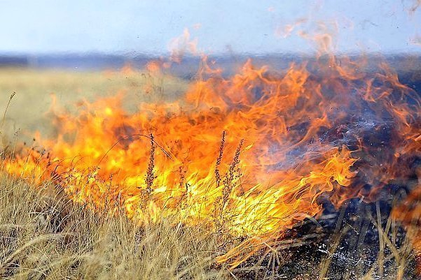Морозовский район предупредили о чрезвычайной пожароопасности