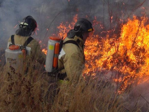 Чрезвычайная пожароопасность на Дону: за неделю ликвидировано 35 пожаров и спасено 58 человек