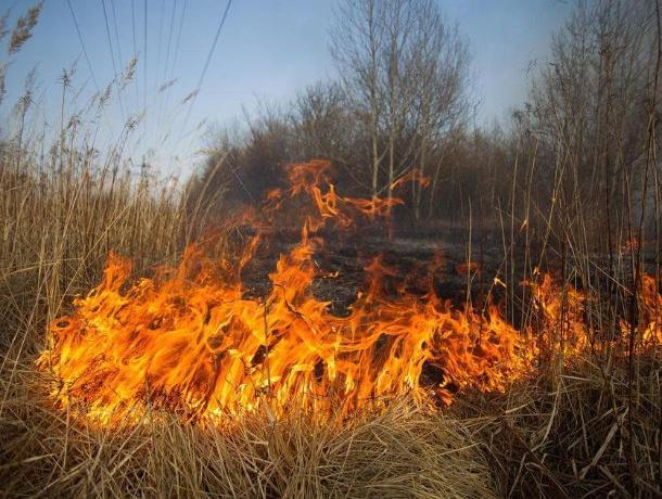 Экстренное предупреждение о чрезвычайной пожароопасности снова поступило в Морозовск