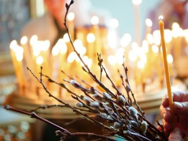 Почему принято освящать вербу объяснил настоятель храма Рождества пресвятой Богородицы Морозовска