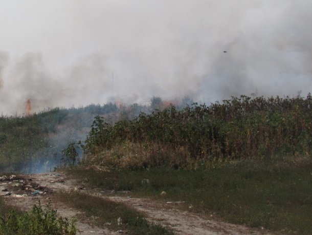 Жечь сухую траву невыгодно и опасно, - начальник пожарной части Морозовска привел весомые аргументы против пала травы