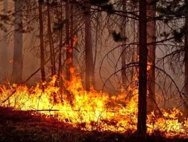 Два дня чрезвычайной пожароопасности предстоит пережить Морозовскому району