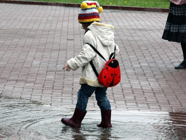 Дождь, снова дождь: в пятницу в Морозовске будет сыро