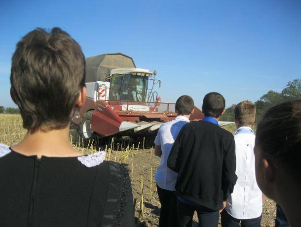 Школьники из хутора Вишнёвка совершили экскурсию на производственные участки хозяйства