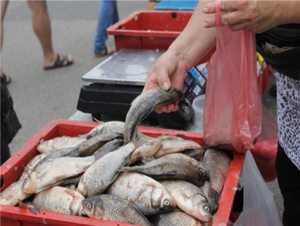 Изъято более 13,5 тонн рыбы и раков: Ветеринарные инспекторы прошлись по местам несанкционированной торговли