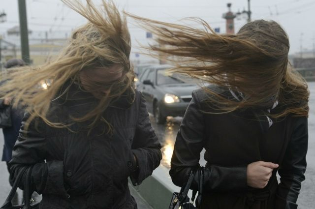 В выходные в Морозовске будет ветрено, но наступит перерыв в дождях