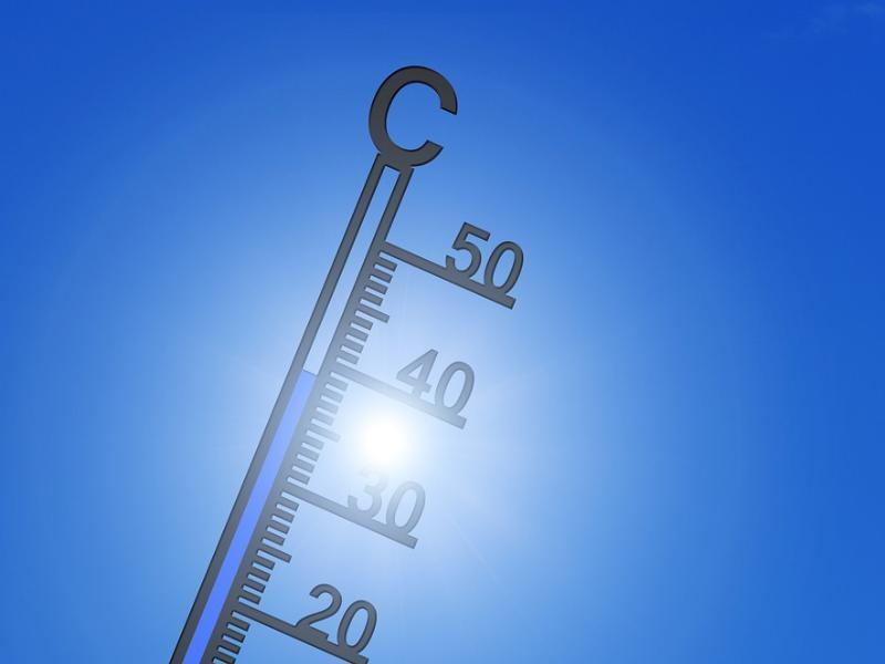До +36 градусов в тени обещают морозовчанам в четверг, 22 августа