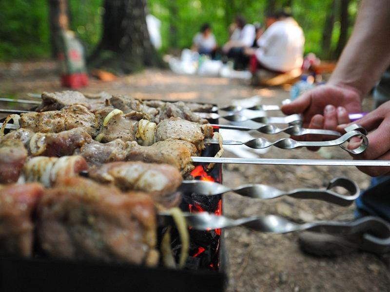 Рекомендации по выбору мяса для шашлыка дали специалисты Роспотребнадзора по Ростовской области
