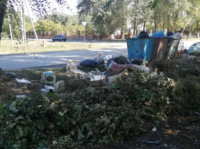 Уборка крупногабаритных отходов по улице Руднева, 183 будет произведена до 26 сентября, - администрация Морозовского городского поселения