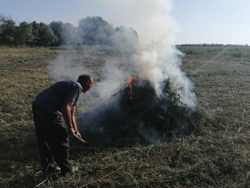 12 тонн дикорастущей конопли скосили и сожгли в Костин-Быстрянском сельском поселении