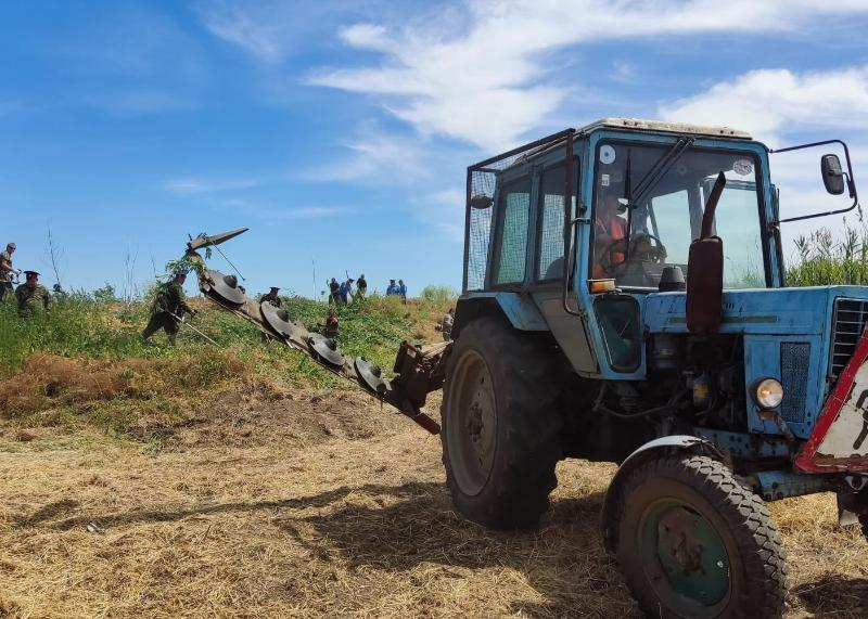 717 килограммов дикорастущей конопли уничтожили на территории Морозовского района