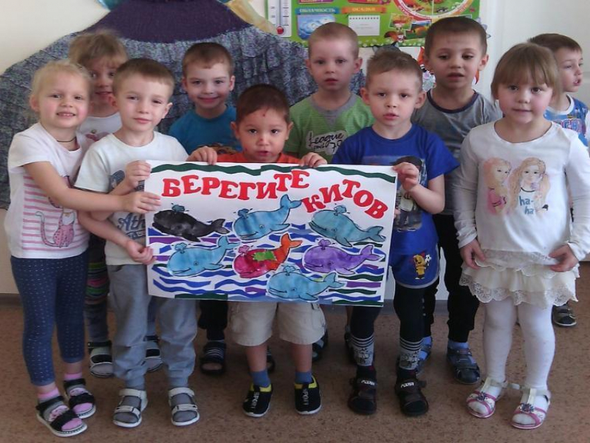 Целый ряд тематических мероприятий провели в детском саду «Сказка» в честь Всемирного дня защиты морских млекопитающих