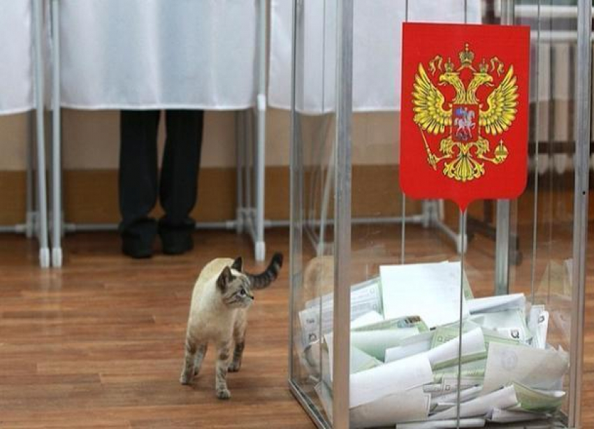 По итогам выборов только три парламентские партии в Ростовской области смогли преодолеть барьер в 5%