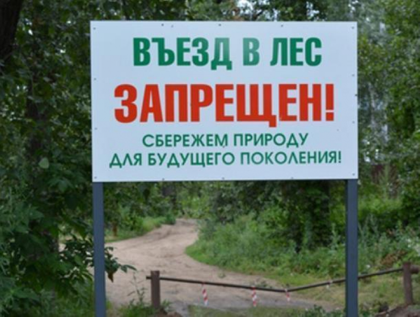 Введен режим ограничения пребывания граждан в лесах возле Морозовска