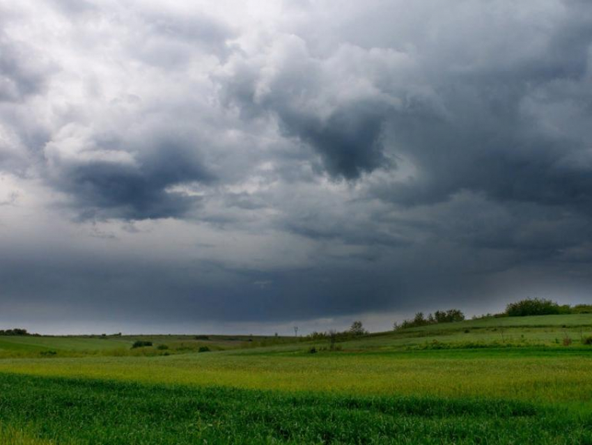 Противоречивый прогноз погоды снова дали синоптики и МЧС