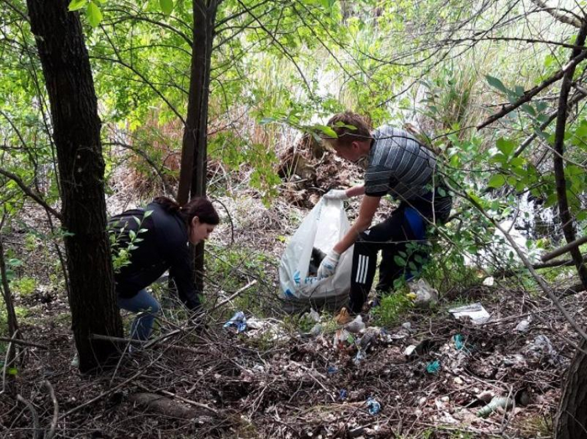 34 мешка бытовых отходов собрали морозовчане вдоль берега реки Быстрой в рамках акции «Вода России"