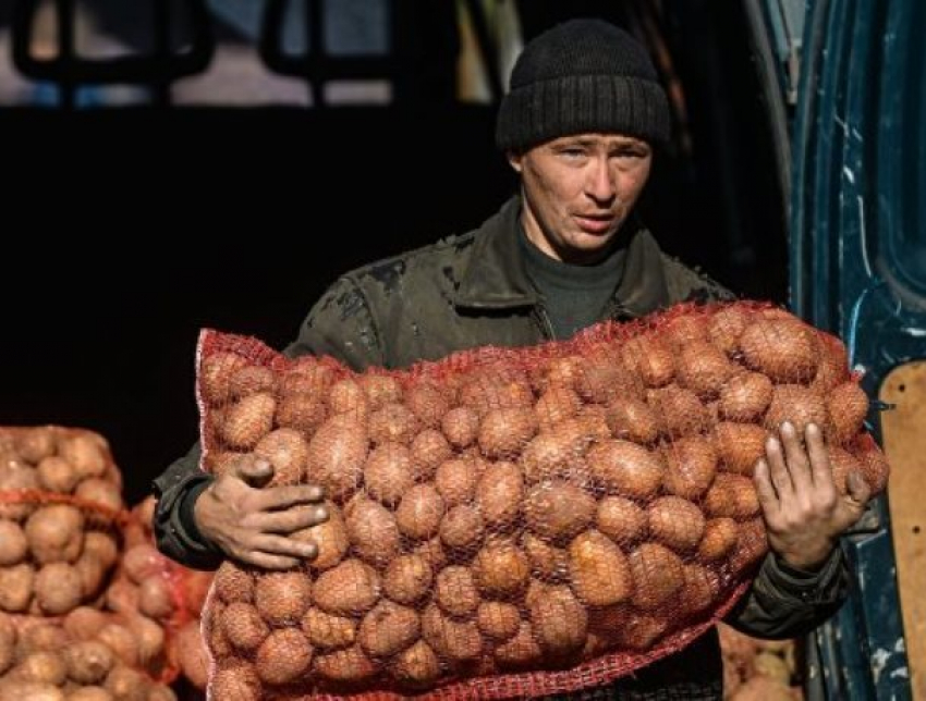 Ярмарки в Морозовске и Ростовской области скоро станут более организованными