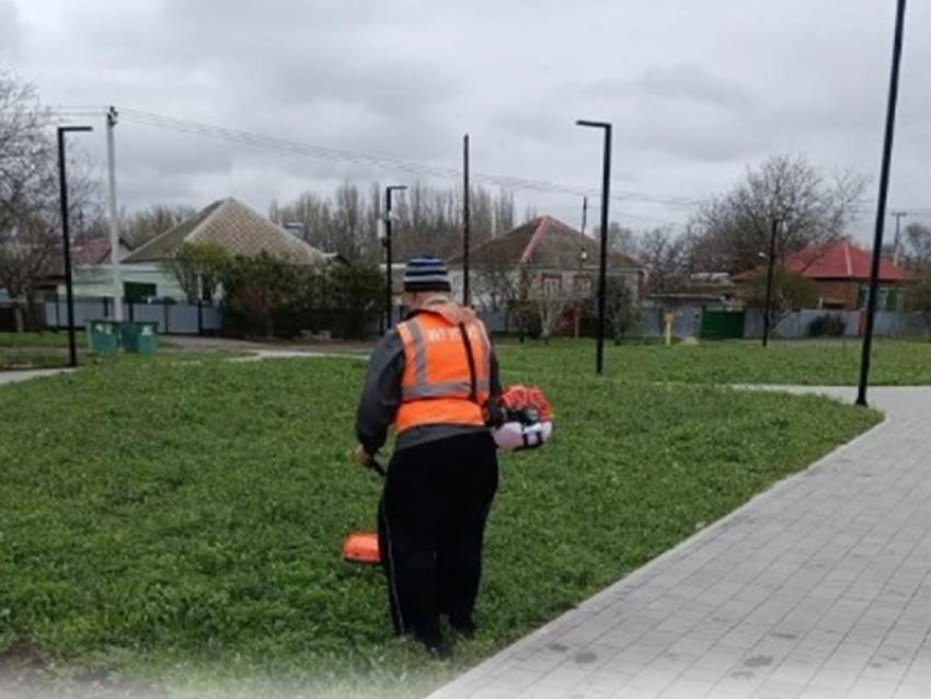 В Морозовске идет массовая борьба с сорняками