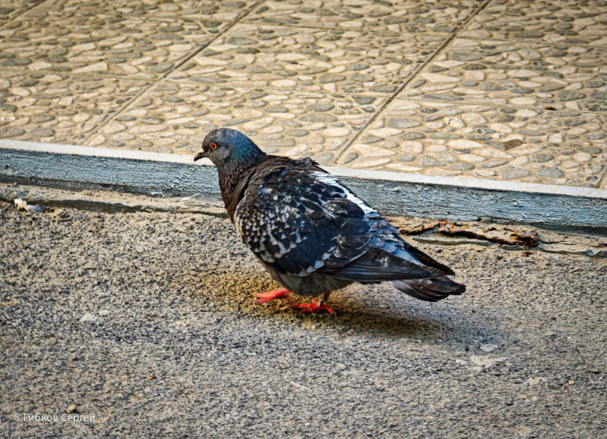 Спасибо, что тепло: прогноз на вторник 