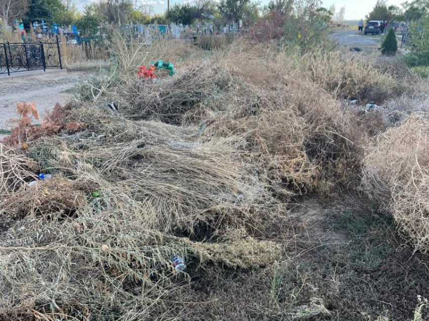 С кладбищ Морозовска за год было вывезено 700 кубометров мусора
