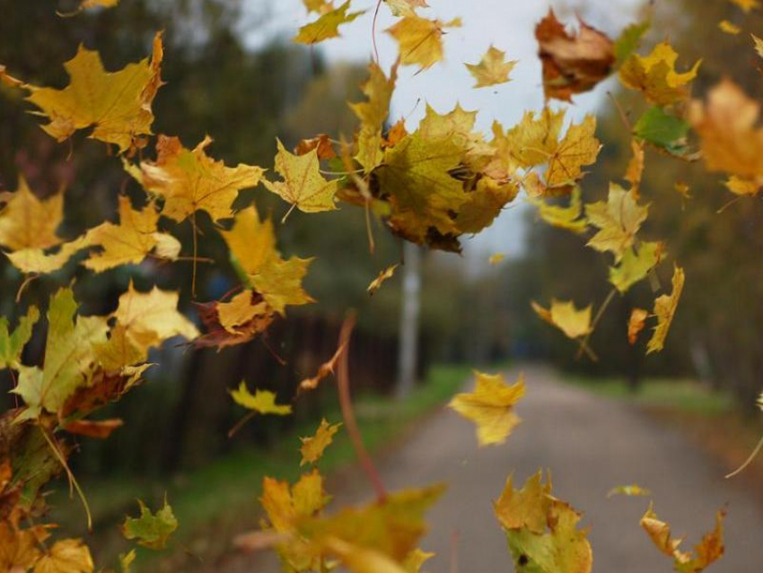 Суббота в Морозовске будет теплой, но очень ветреной