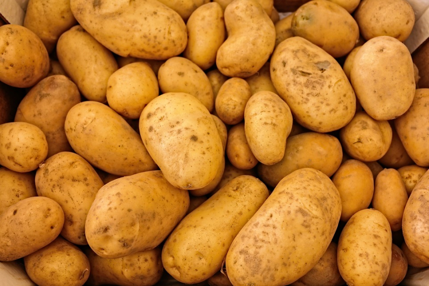 Морозовчане в сомнениях: покупать картошку на зиму или нет?