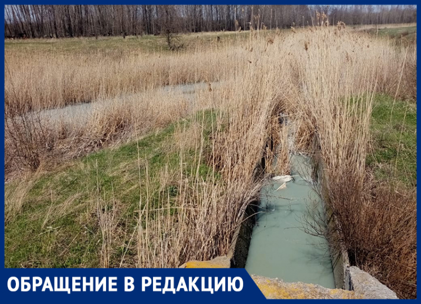Нечистоты стекают в реку Быструю по желобу в районе хутора Скачки-Малюгин