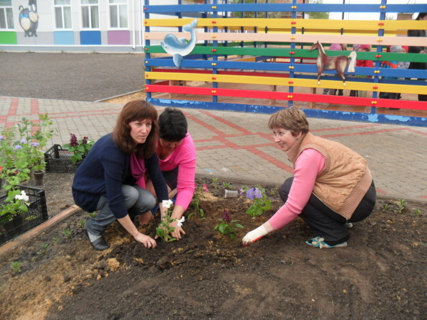 Родители совместно с воспитателями в Морозовске высадили цветы в детском саду 