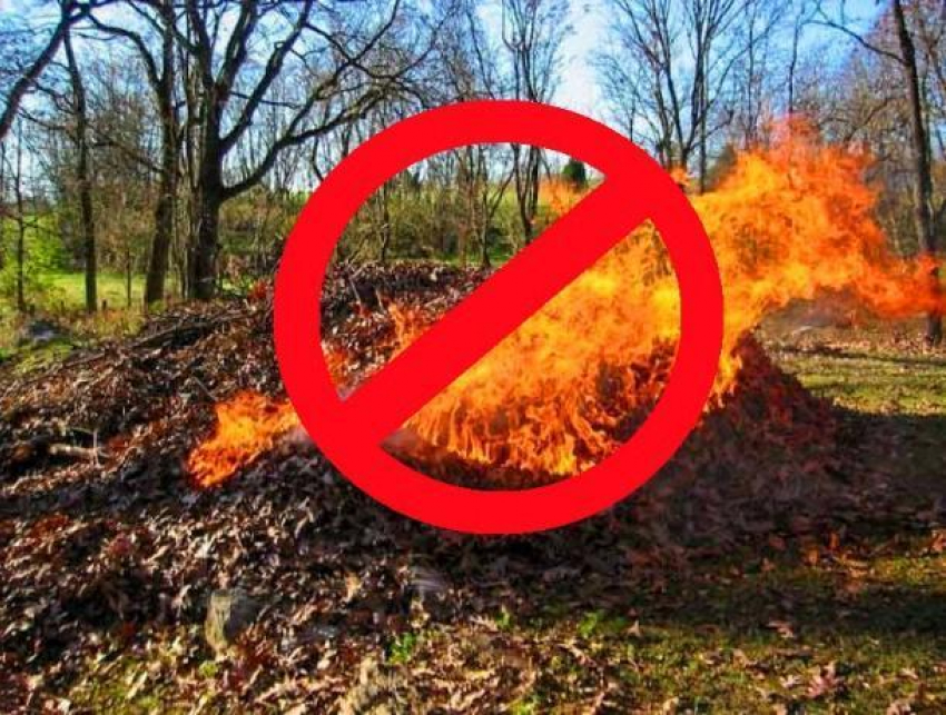 Морозовчан предупредили о штрафах до 100 тысяч рублей за выжигание сухой растительности